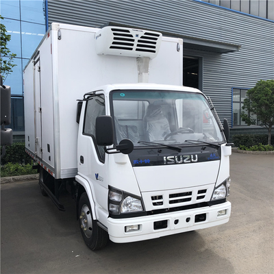 5 TONS ISUZU 600P FREEZER TRUCK WITH THERMOKING FRIGERATOR UNIT -25 DEGREES
