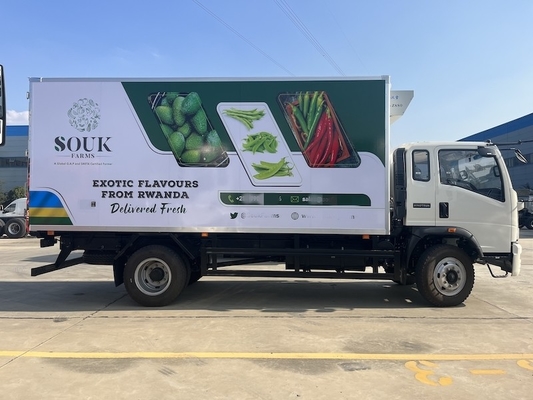 10 Tons Carry Capacity LHD RHD HOWO Freezer Truck With 6m Box